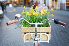 Fahrrad mit Blumen